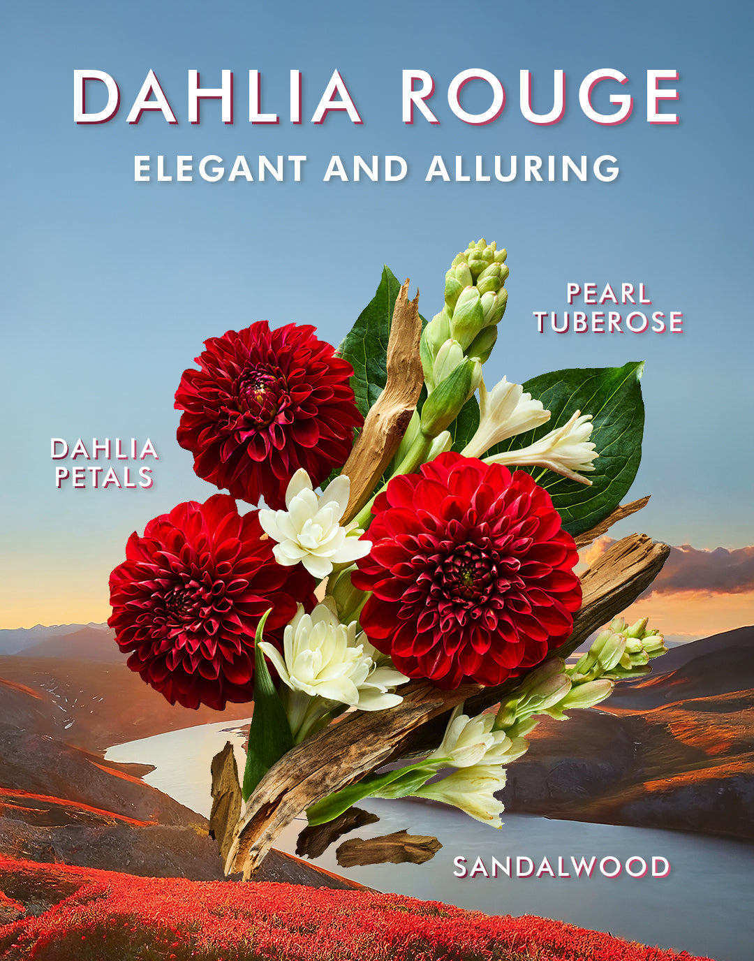 Dahlia Rouge infografik med vigtigste duftnoter