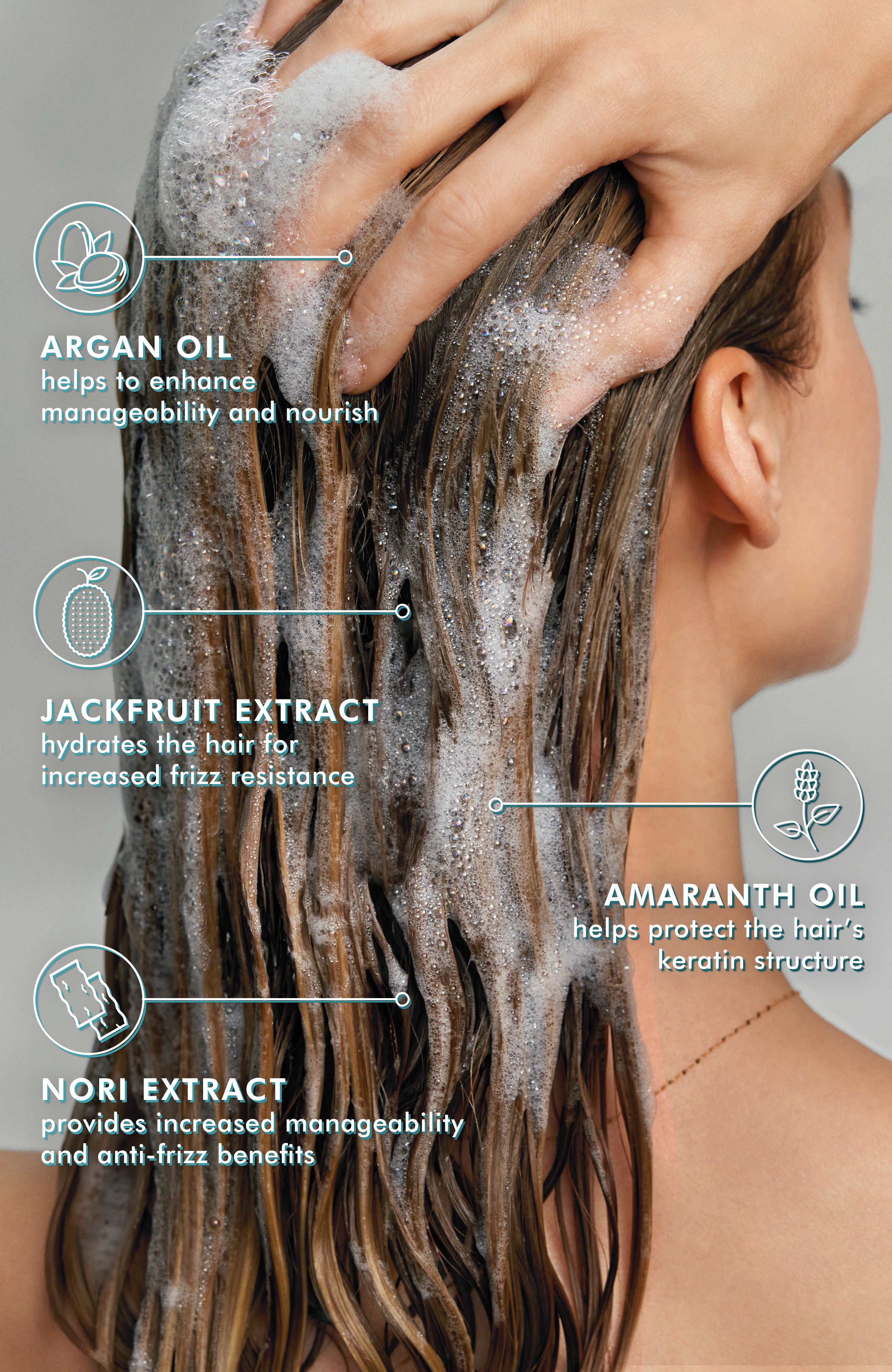 Frizz Control Shampoo ingrediens spotlight