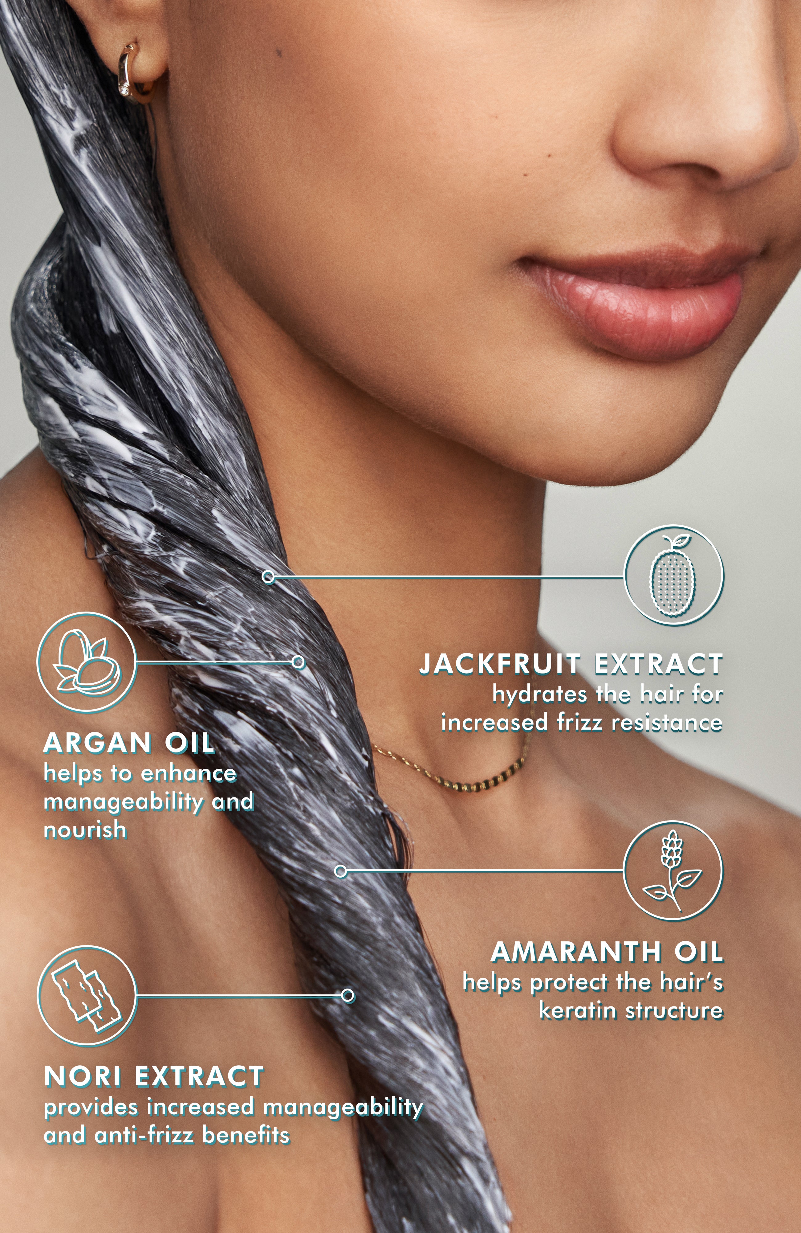 Frizz control conditioner ingrediens spotlight