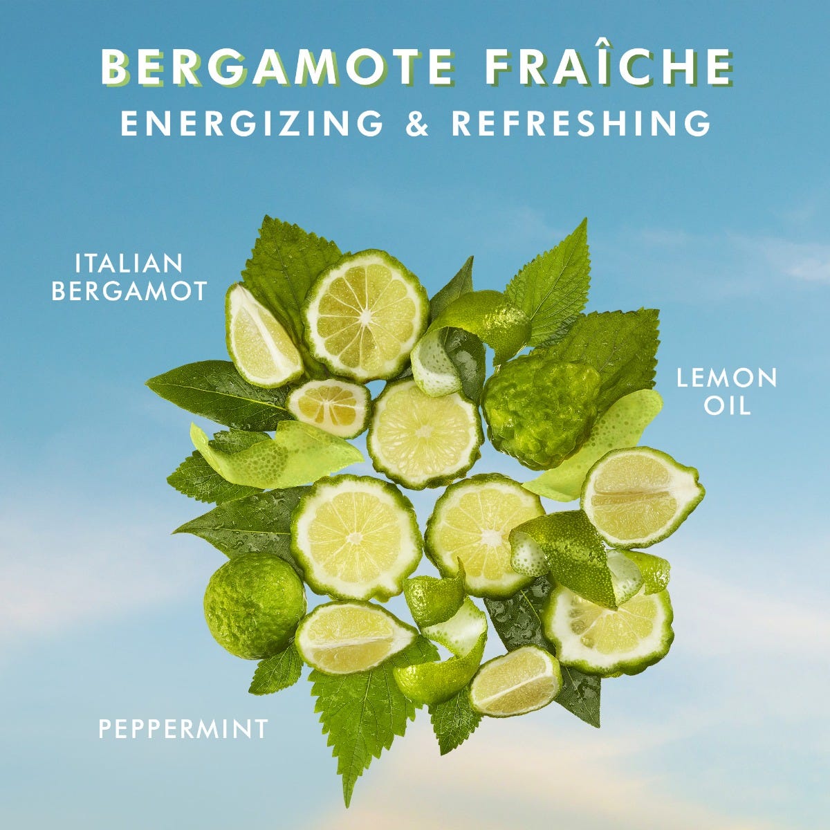 Hand Wash Bergamote Fraiche
