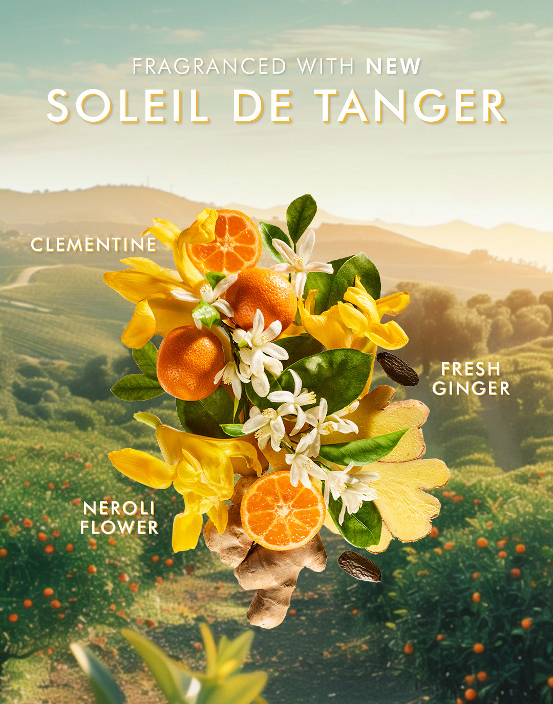  Shower Gel Soleil de Tanger 