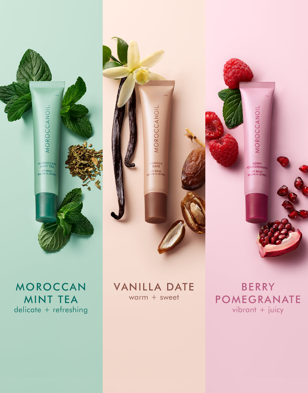 Moroccanoil Lip Balm Trio